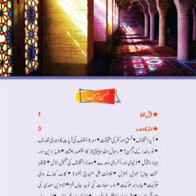 Guftagoo Khlaft-o-Amarat by Dr Israr Ahmed