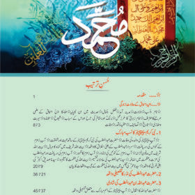 Seerat Un Nabi (SAW) by ibn-e-ishaq